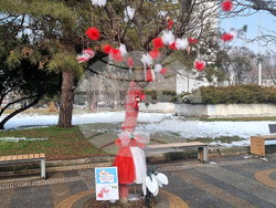 Плевен - Баба Марта - украса