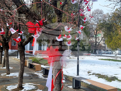 Плевен - Баба Марта - украса