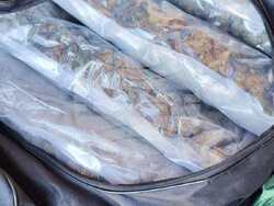 Снимка: Апелативна прокуратура – Пловдив