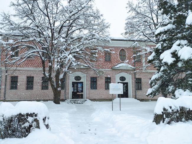 Славейковото училище в Търговище ще работи с безплатен вход на Трети март