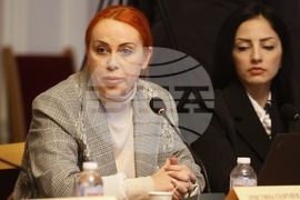 Народно събрание - Комисия по демографската политика, децата и семейството - заседание