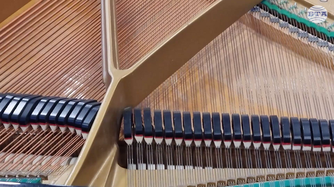 Роял пропътува над 5300 километра от Норвегия до Кърджали, за да бъде подарен