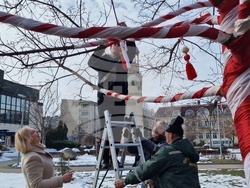 Разград - мартеници - дърво