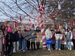 Разград - мартеници - дърво