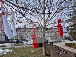 Разград - мартеници - дърво