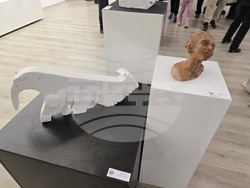 Плевен - изложба - Националното училище по изкуствата