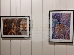 Ямбол - „Сезони“ - изложба