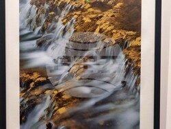 Ямбол - „Сезони“ - изложба