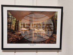 Ямбол - „Сезони“ - изложба