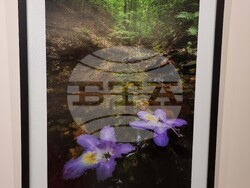 Ямбол - „Сезони“ - изложба