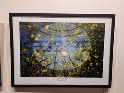 Ямбол - „Сезони“ - изложба