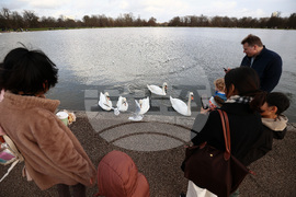 Обединено кралство Великобритания - Лондон - ежедневие