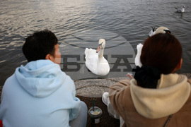 Обединено кралство Великобритания - Лондон - ежедневие