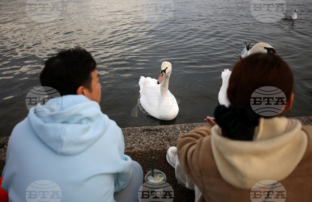 Обединено кралство Великобритания - Лондон - ежедневие