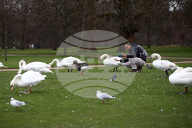 Обединено кралство Великобритания - Лондон - ежедневие