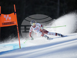 Norway Alpine Skiing WCup