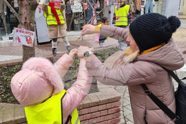 Хасково - Баба Марта - украса