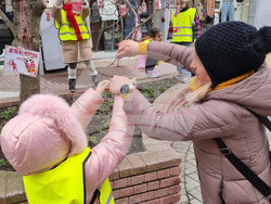 Хасково - Баба Марта - украса