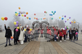 Враца - Ден на редките болести