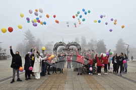 Враца - Ден на редките болести