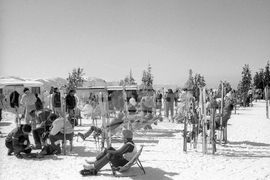 На почивка в зимния курорт Пампорово