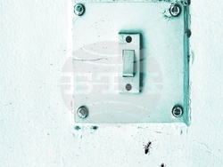 Обявиха номинациите за наградата в националния конкурс за поезия „Иван Николов“. Снимка: издателство „Жанет 45“