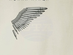 Обявиха номинациите за наградата в националния конкурс за поезия „Иван Николов“. Снимка: издателство „Жанет 45“