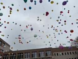 Пловдив - Ден на редките болести - отбелязване