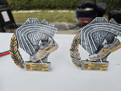 Плевен - щафета - крос