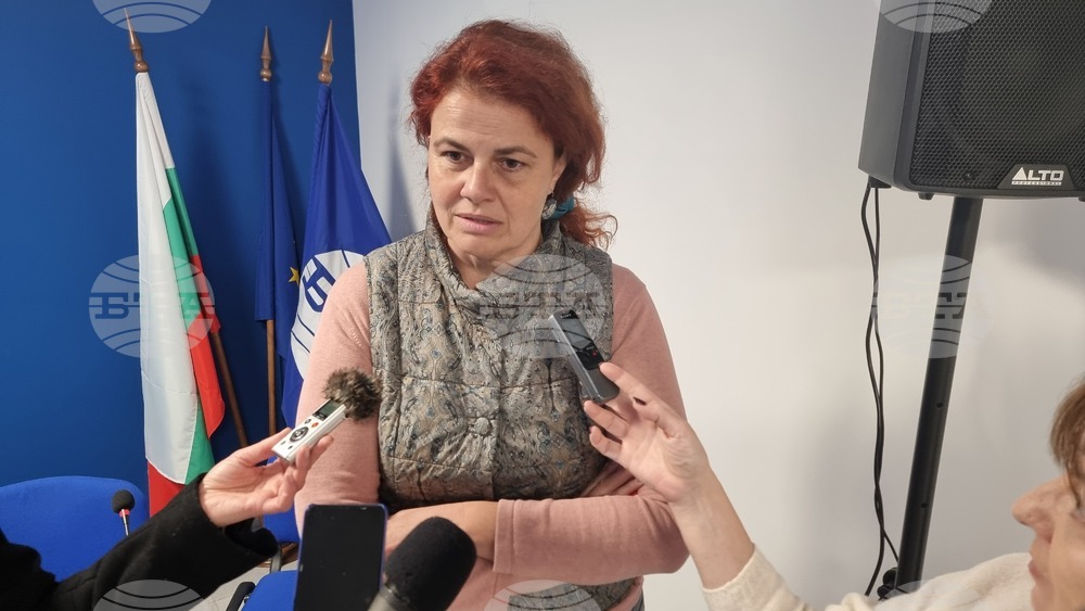 Има огромна надежда за земеделието през тази година, каза председателят на Добруджанския съюз на зърнопроизводителите Радостина Жекова