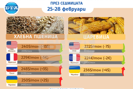 Цени на основни зърнени стоки по световните борси и на ССБ през седмицата 25-28 февруари