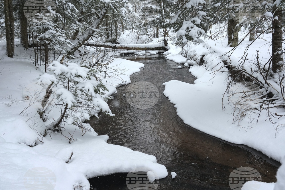 Германски ученици спечелиха награда на Стокхолм за разработена от тях система за предупреждение при наводнения на малки реки