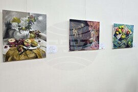 Видин - Радио "Видин" - годишнина - изложба