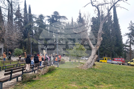 Стара Загора - парк - залесяване