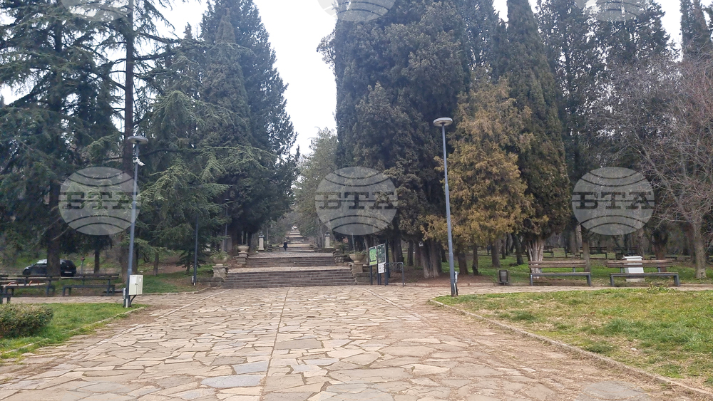 Стара Загора - парк - залесяване