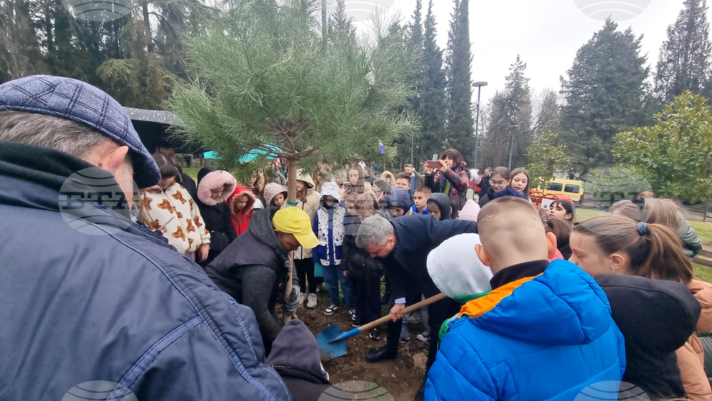 Стара Загора - парк - залесяване