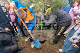 Стара Загора - парк - залесяване