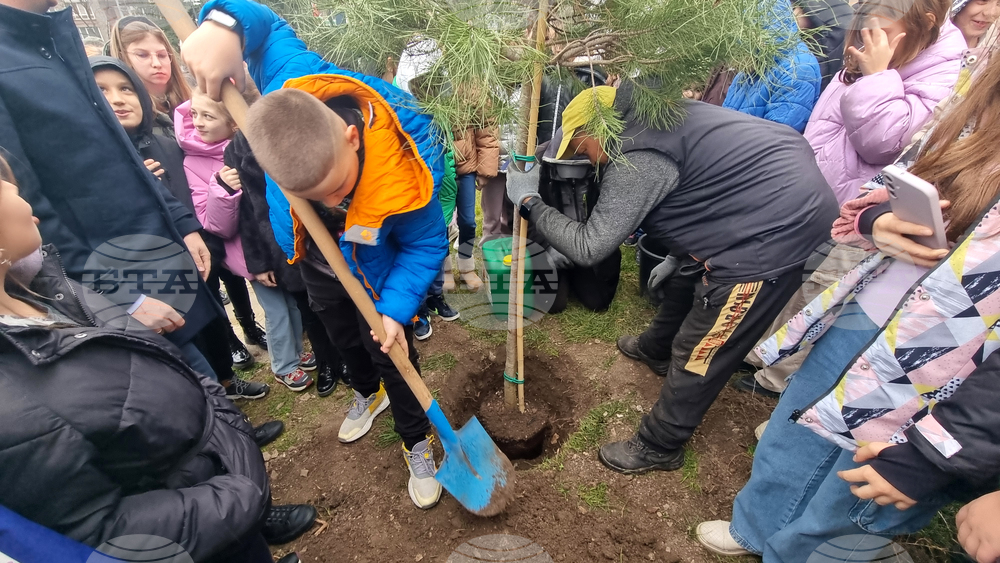 Стара Загора - парк - залесяване