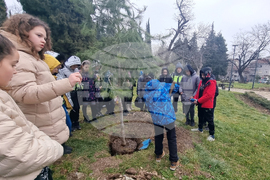 Стара Загора - парк - залесяване