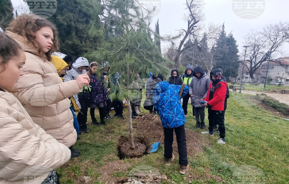 Стара Загора - парк - залесяване