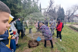 Стара Загора - парк - залесяване