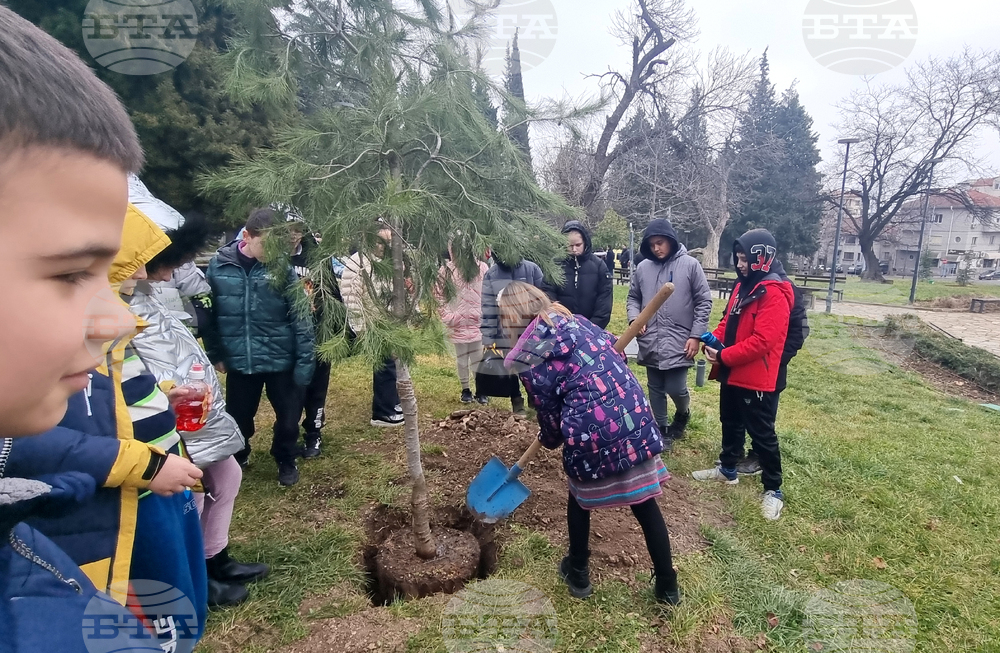 Стара Загора - парк - залесяване