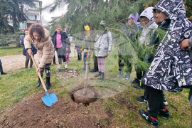 Стара Загора - парк - залесяване