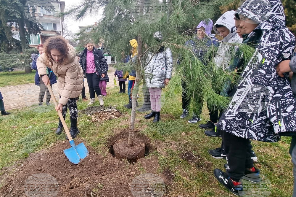 В старозагорски училища ще бъдат засадени млади липи по повод Седмицата на Земята