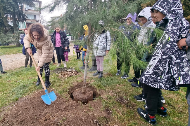 Стара Загора - парк - залесяване