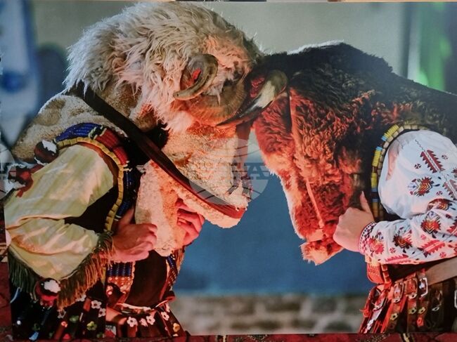 Фотографии от маскарадни игри представя в изложба Тоти Баджаков в рамките на фестивала "Кукерландия" 