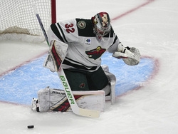Wild Avalanche Hockey