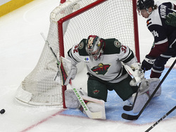 Wild Avalanche Hockey