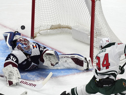 Wild Avalanche Hockey