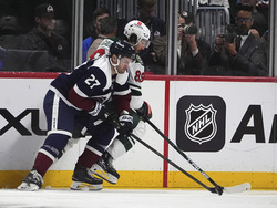 Wild Avalanche Hockey